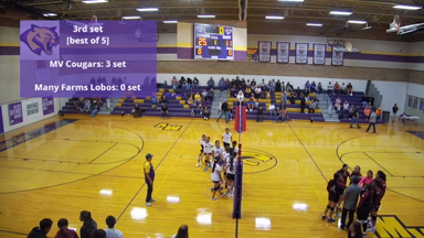 Volleyball